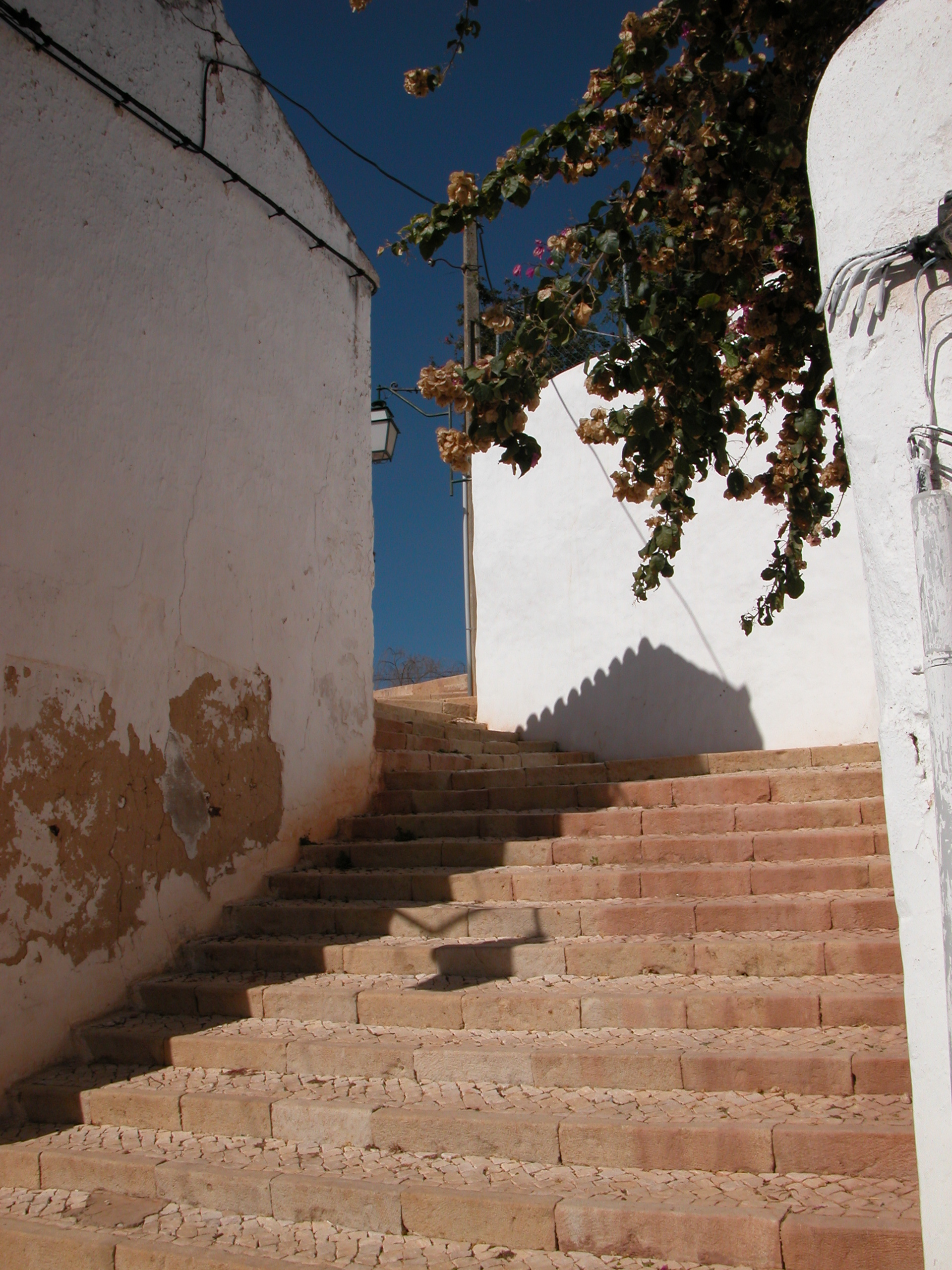 contemporary-wooden-staircases-hard-wood-staircases-jarrods