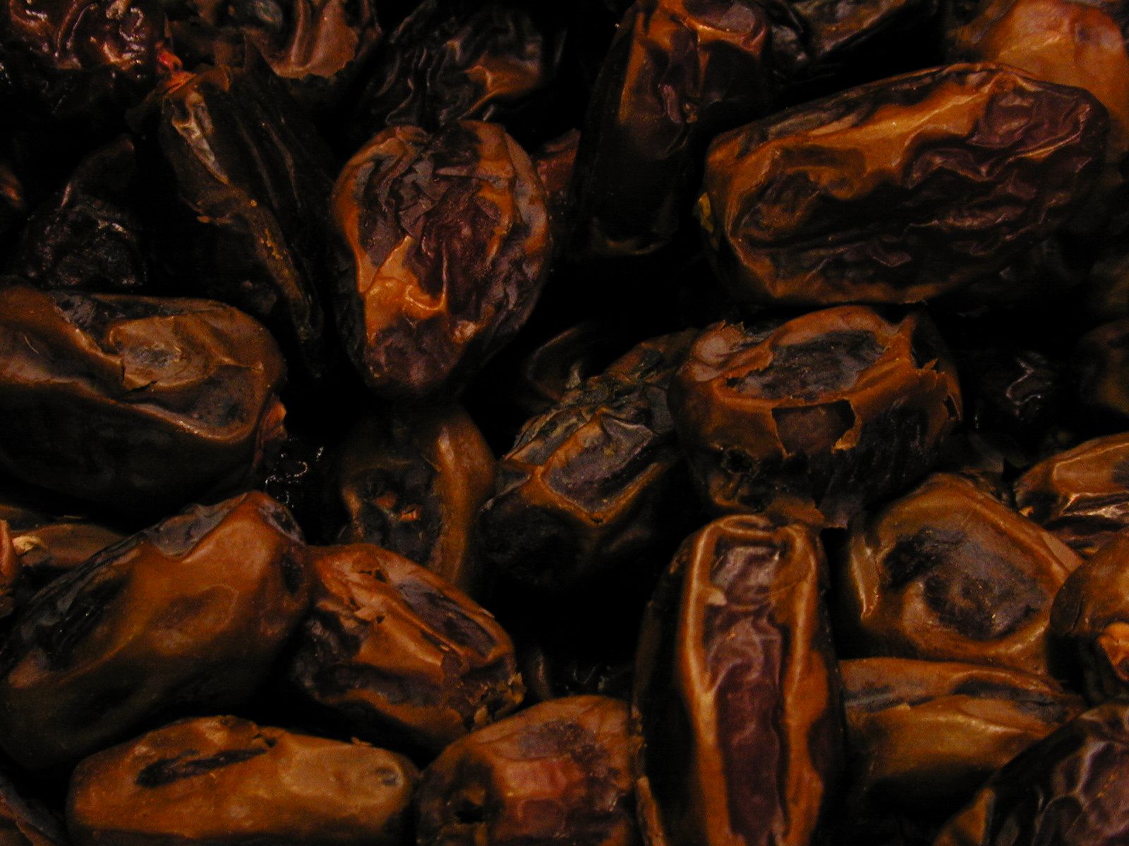 Image*after : Images : Dry Dried Prunes Vegetable Fruit Dark Sriveled