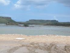 jacco curacao nature landscapes lake lagune animals birds flamingo flamingos hills