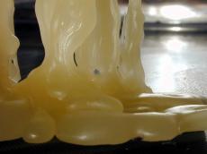 molten wax tallow candle yellow hardened dripped drip