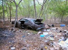 old wrecked car in forest jacco curacua