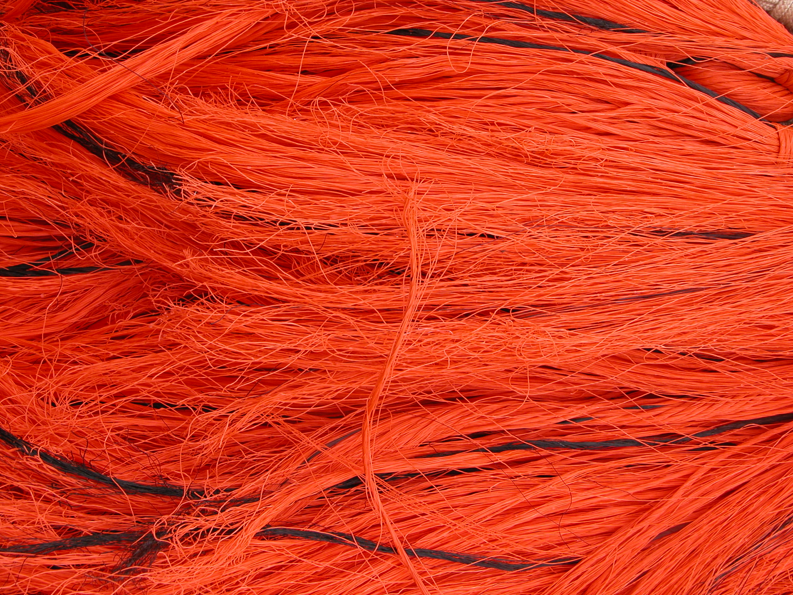 Image*After : photo : fabrics fibers string strings plastic texture orange