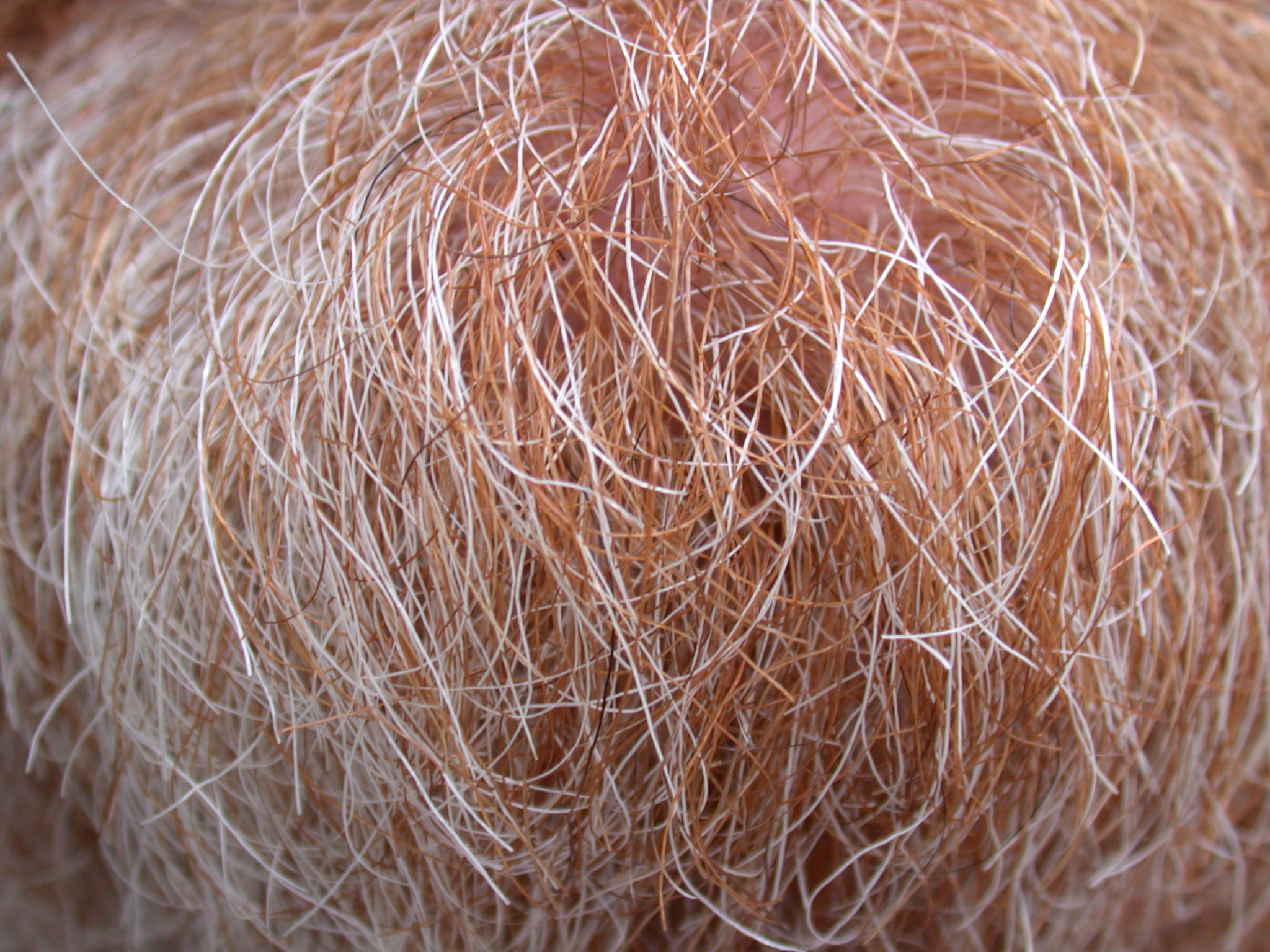 beard hair texture