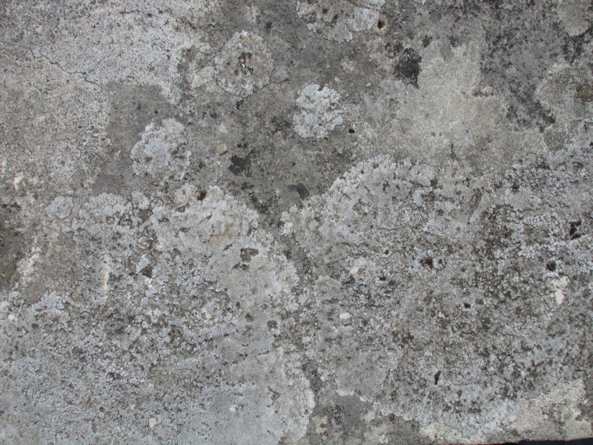 Image After Texture Concrete Grey Stone Slab