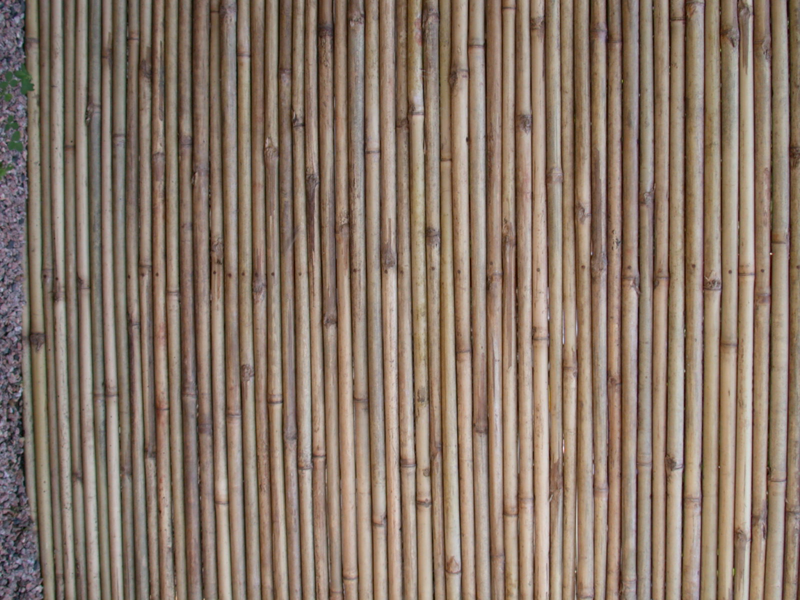 Bamboo Wall Texture