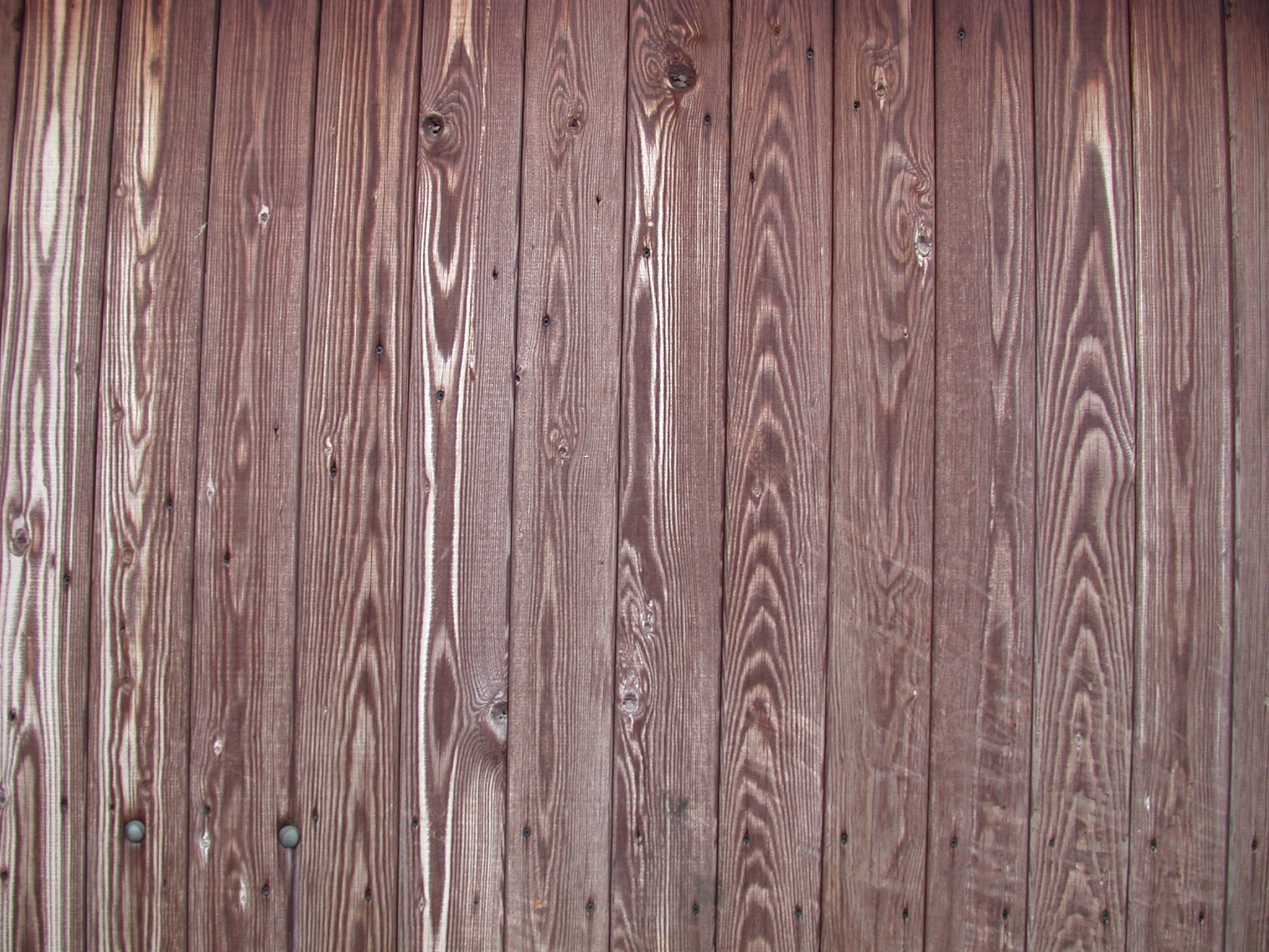 zebra wood texture