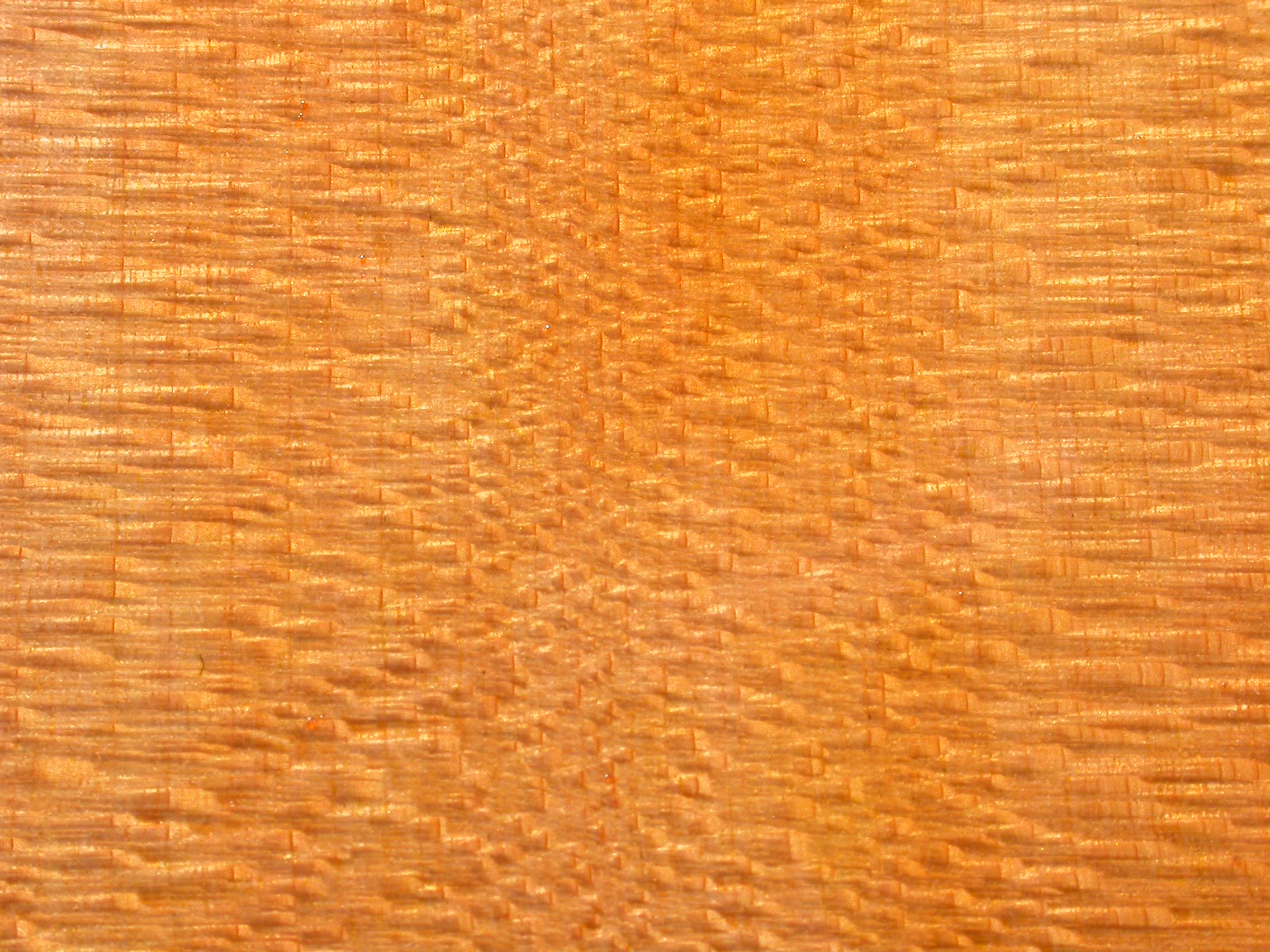 Orange Wood
