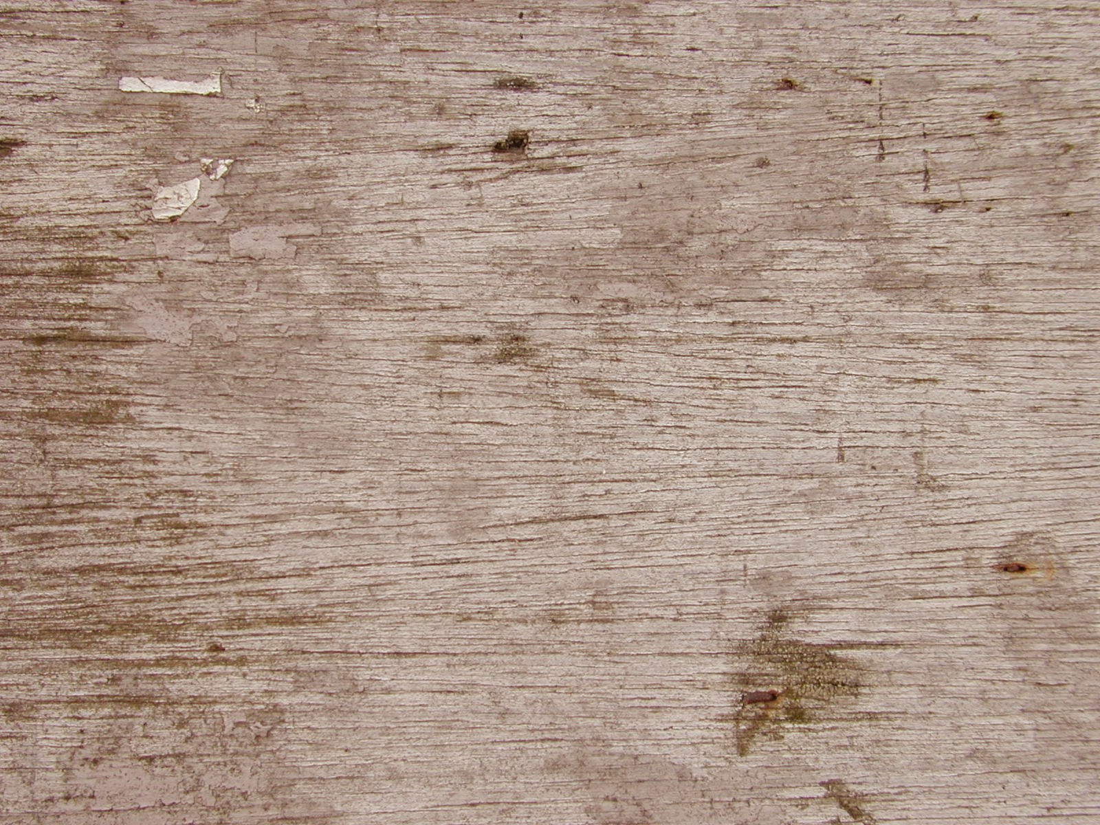 Wood Bench Texture