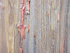 wood paint plank texture wall weathered