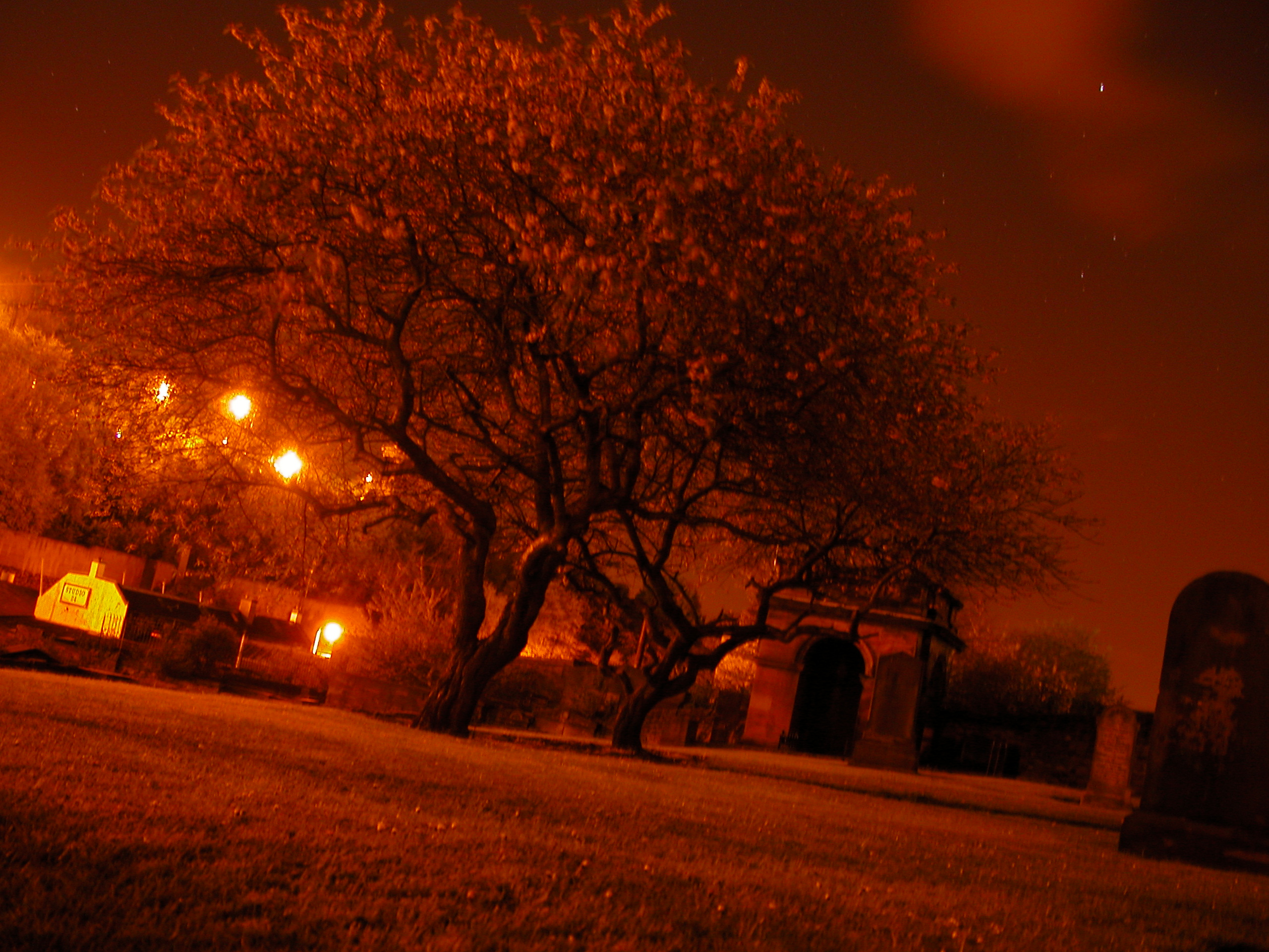 graveyard in edinburgh by night orange tree grave stone tombstone
