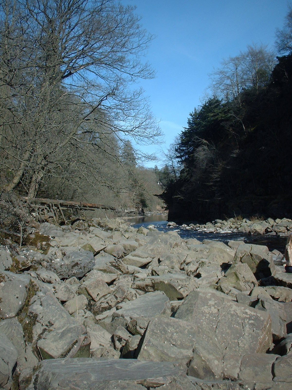 river stream trees rocks water royalty