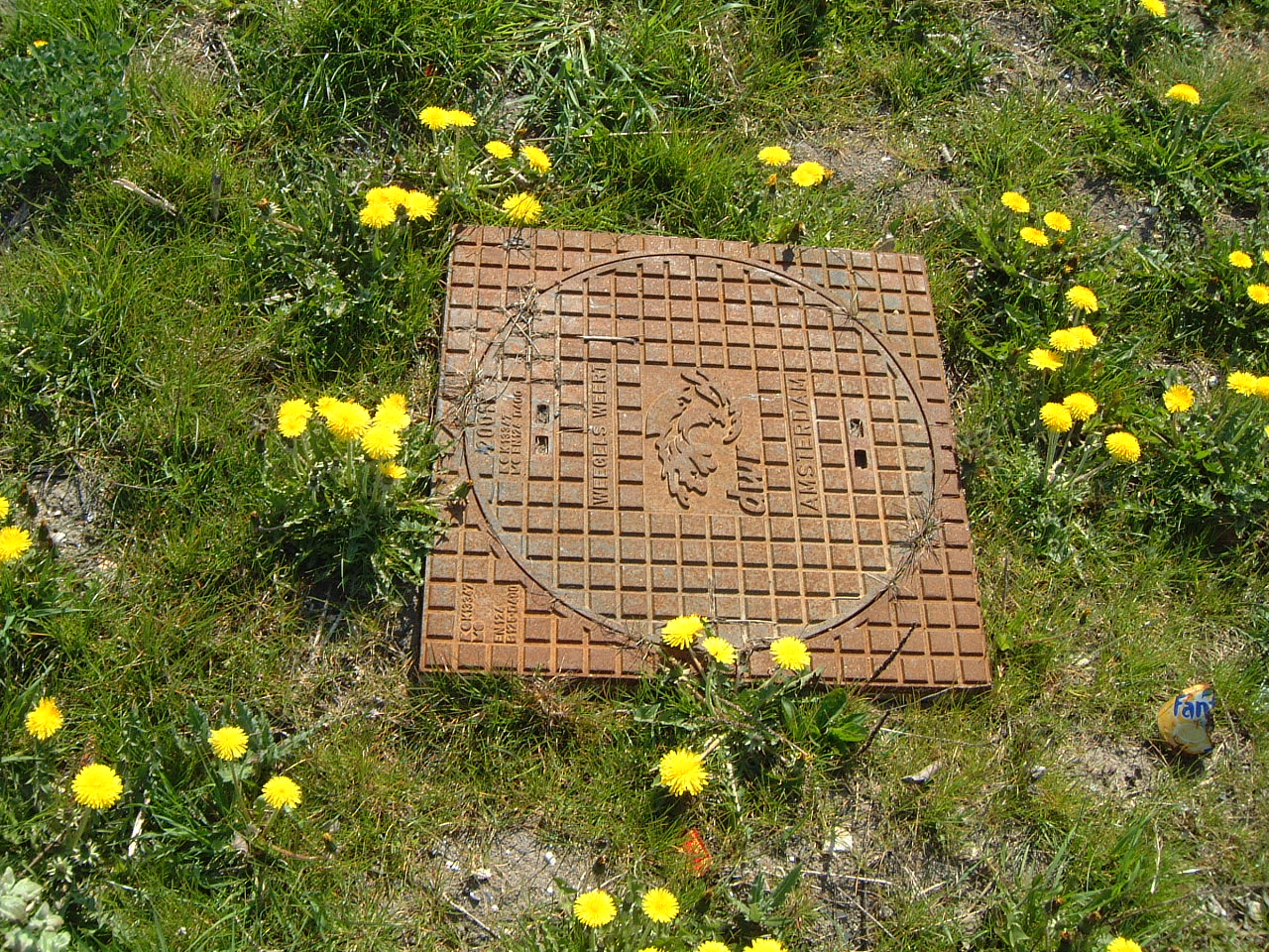 sewerlid manhole cover metal rust steel maartent in field