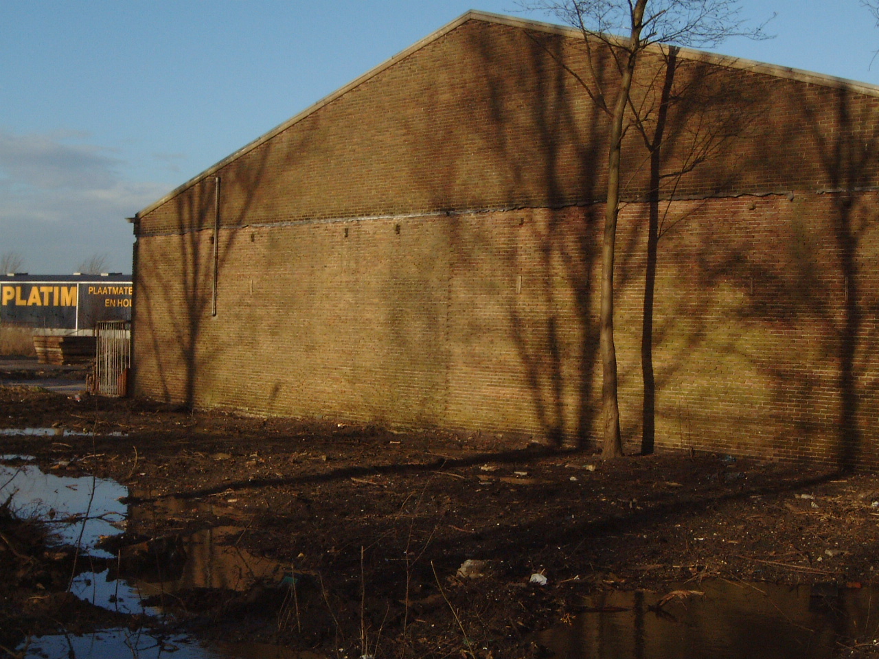 shadows trees on wall shed stones bricks evening sun maartent