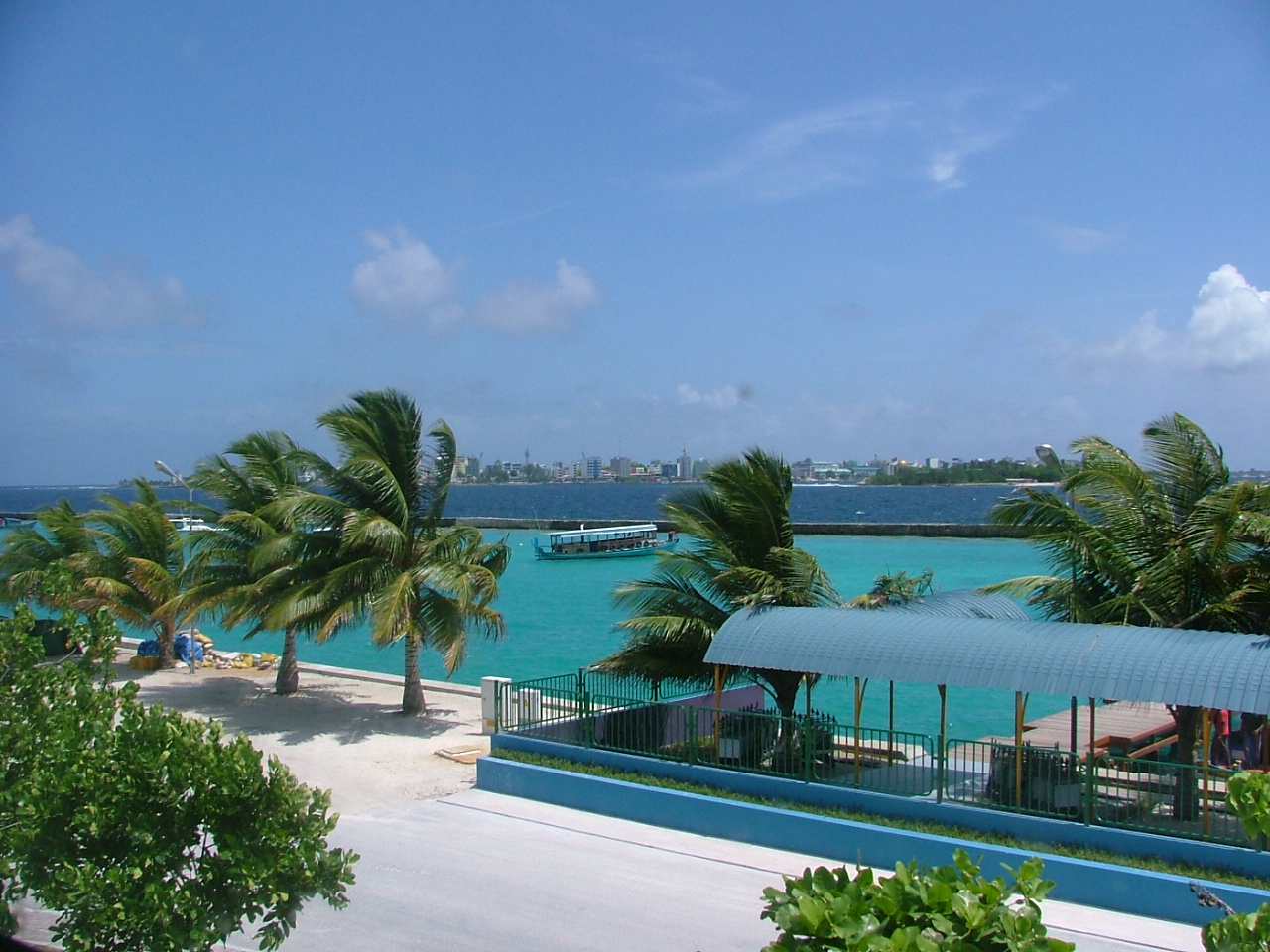 melvin tropics palm trees ocean blue water beach wind