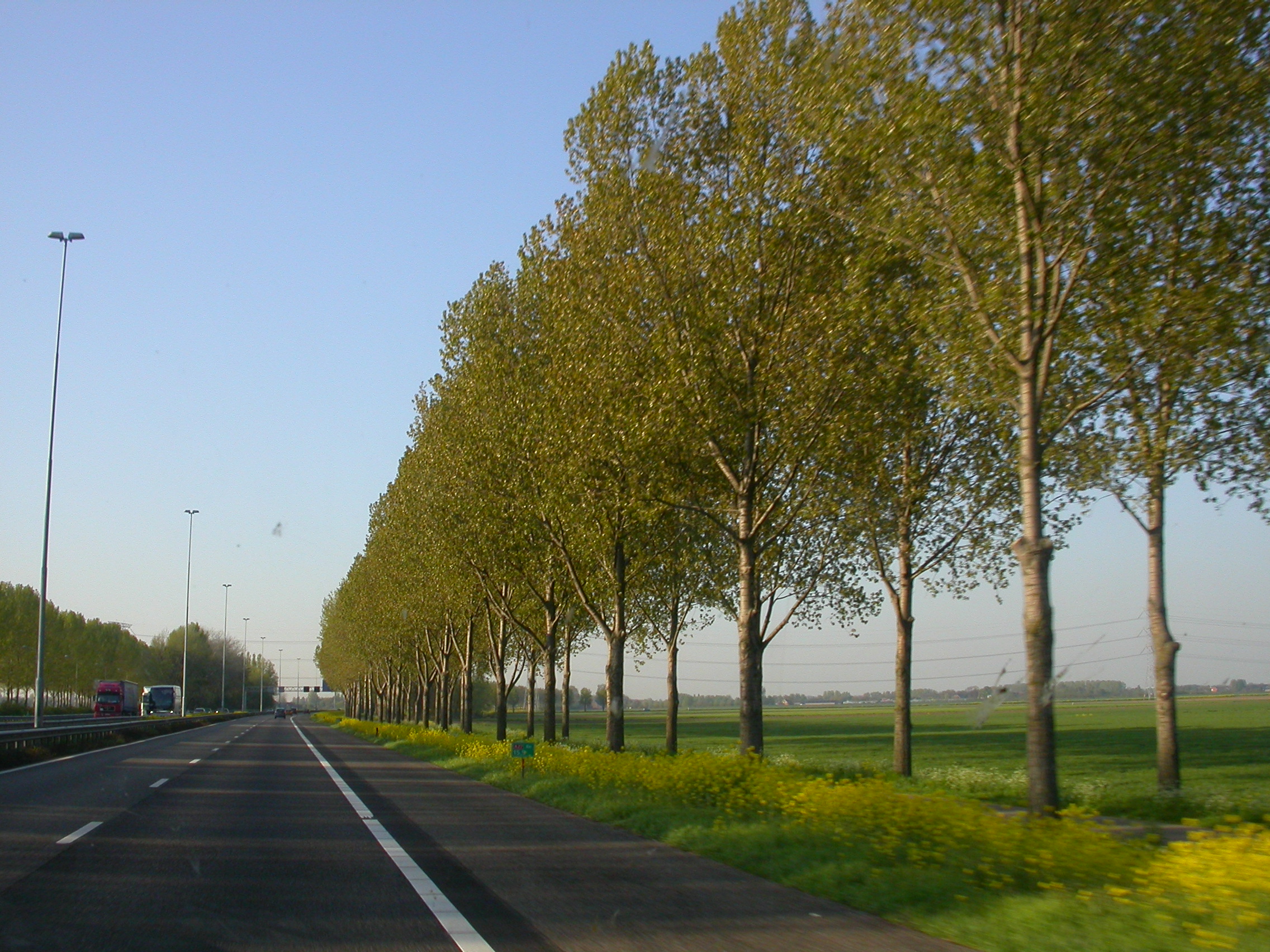 paul road row of trees lane motorway highway