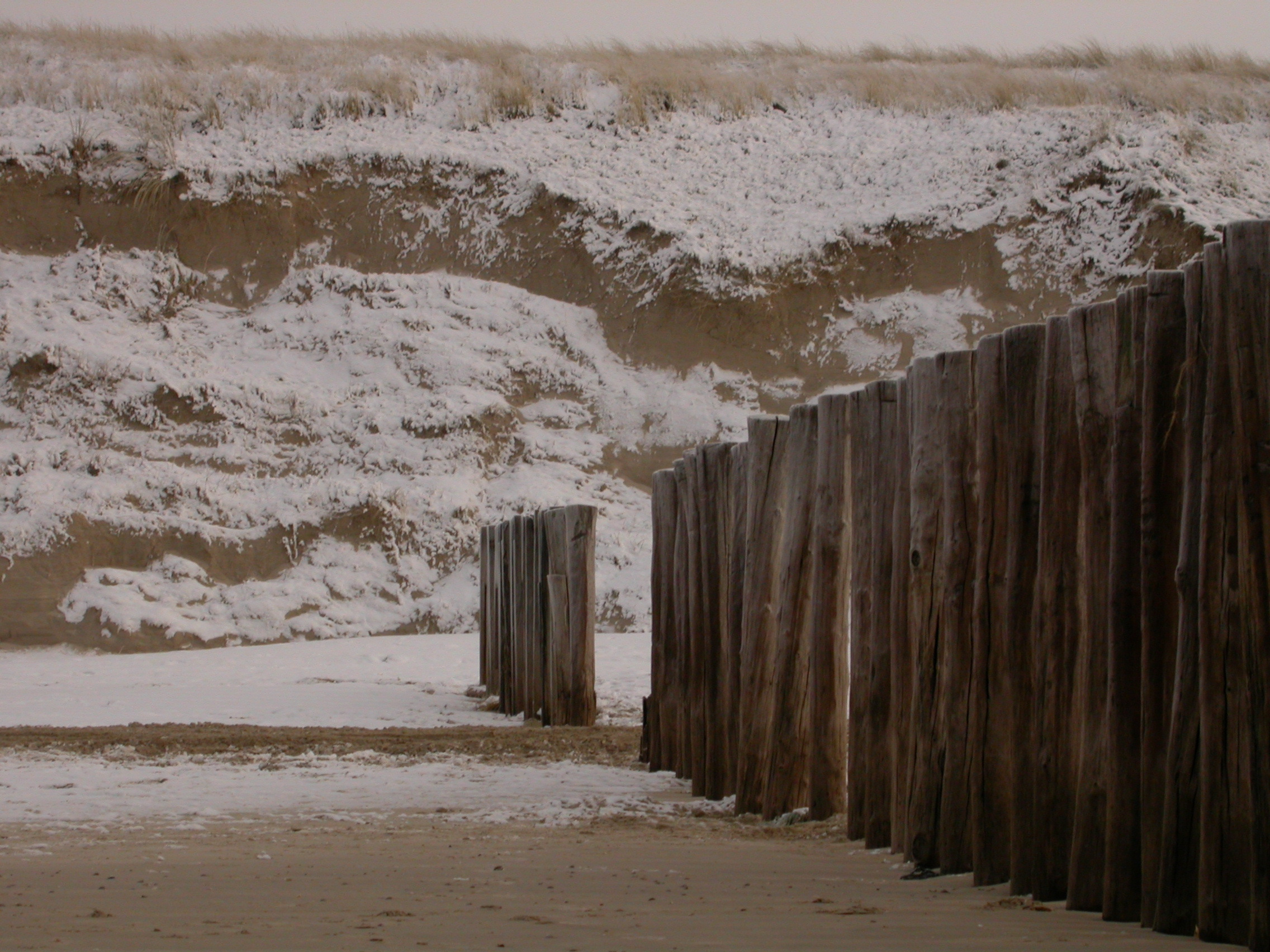 paul snow beach poles dune dunes