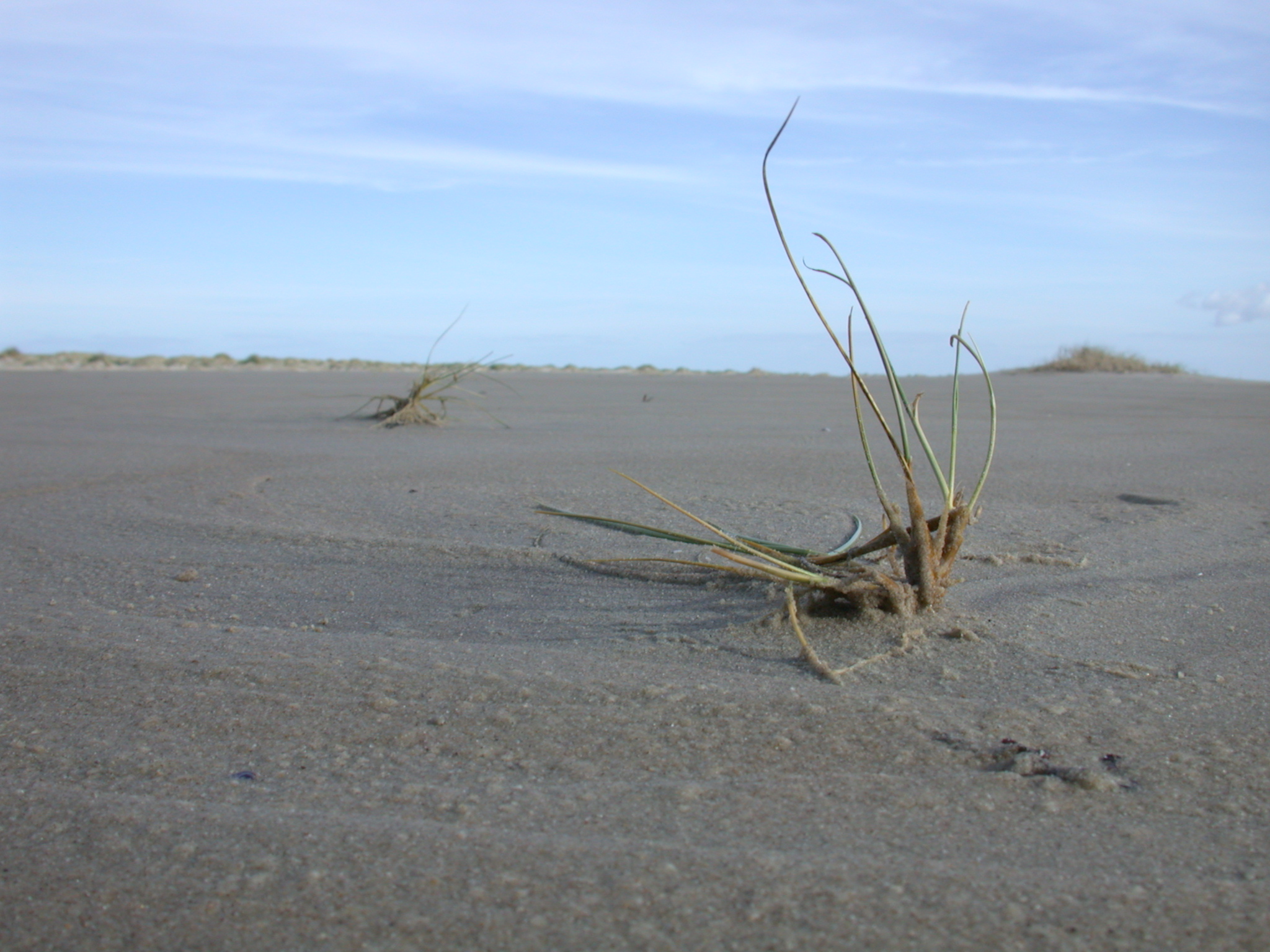 beach sand coast