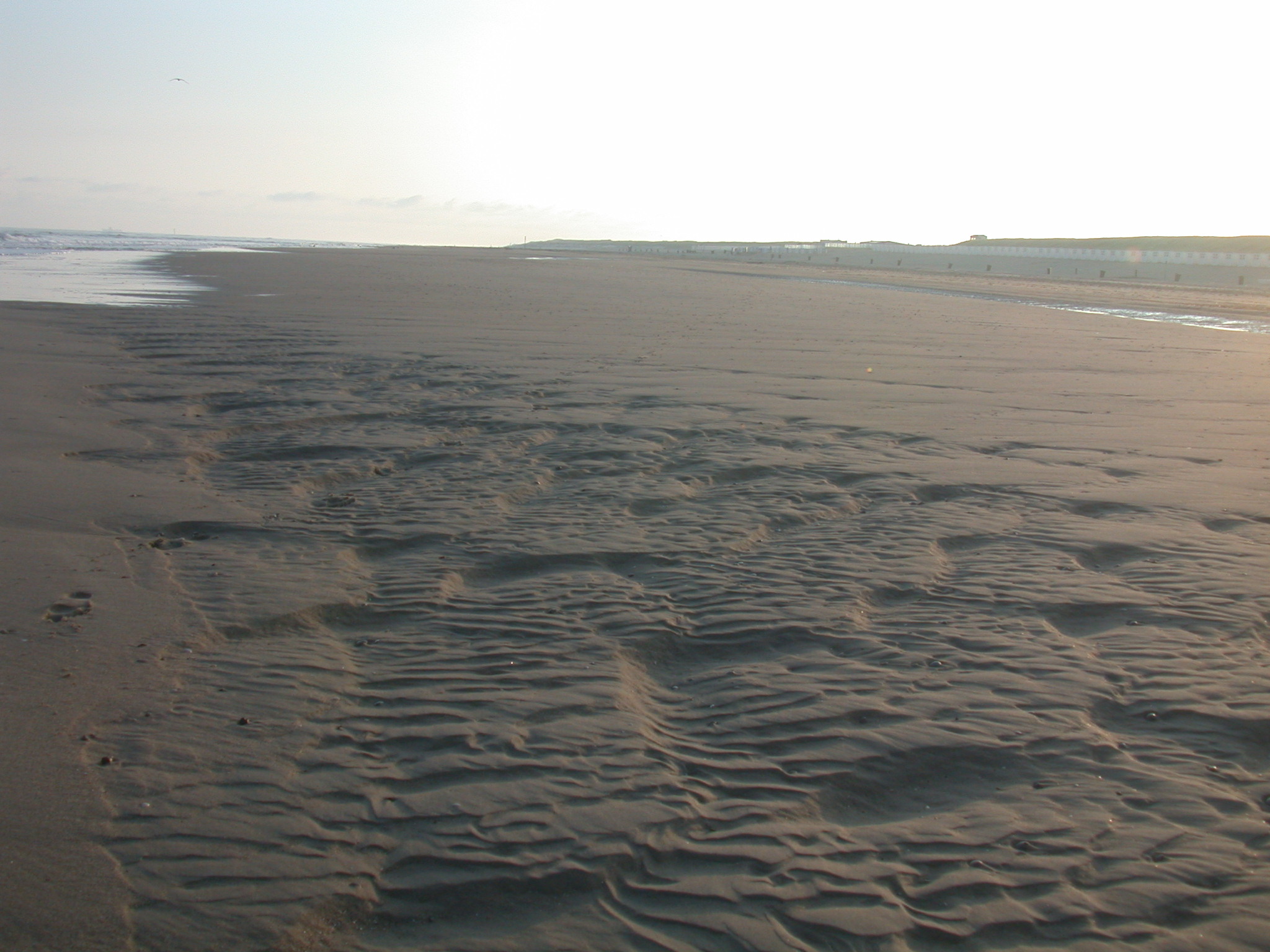 nature landscapes beachscapes beach sea whitesands