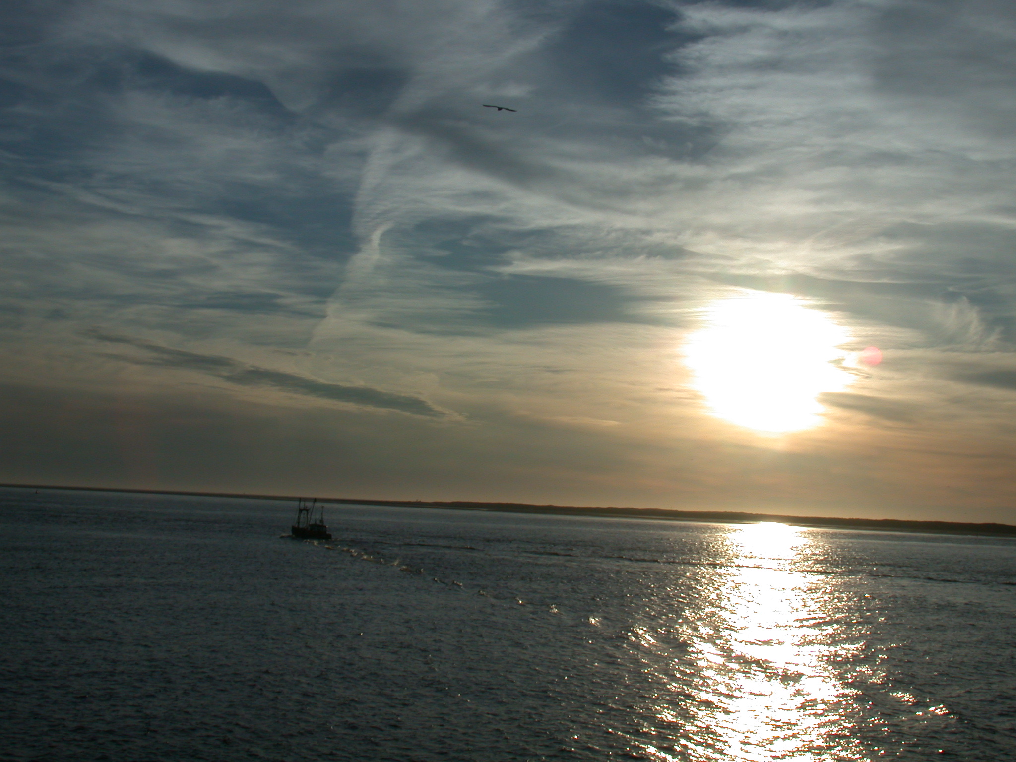 sea sunset trawler feather cloud clouds