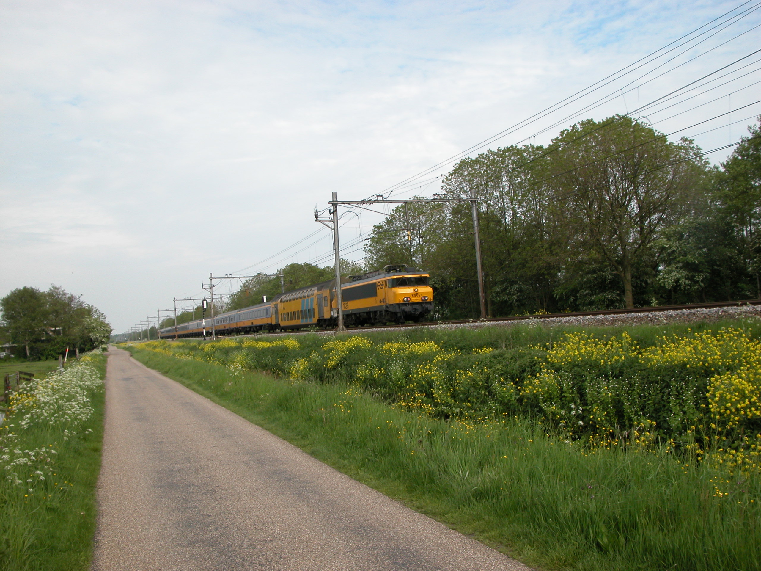 train rail green tracks