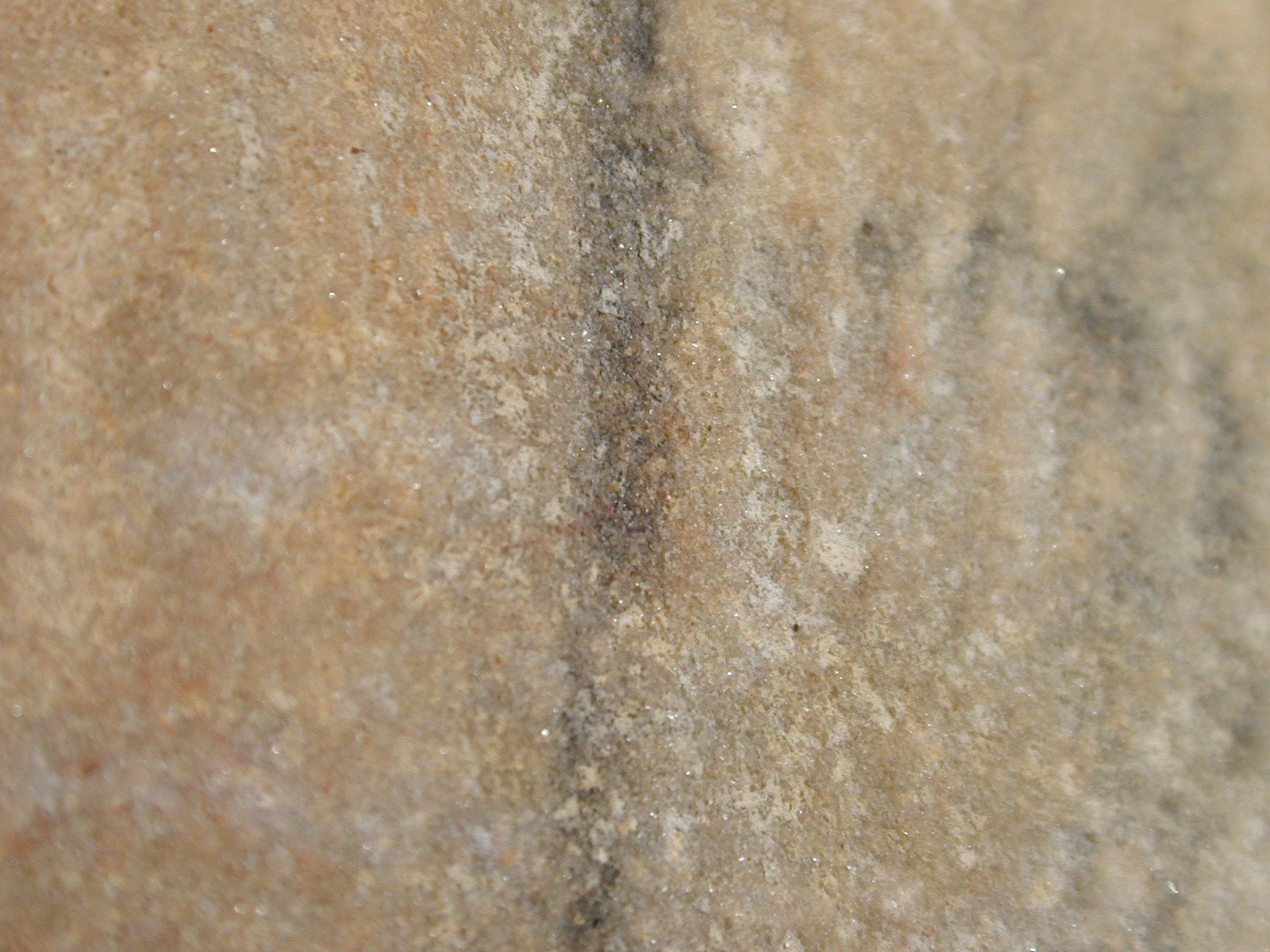 sand stone rock closeup texture free brown