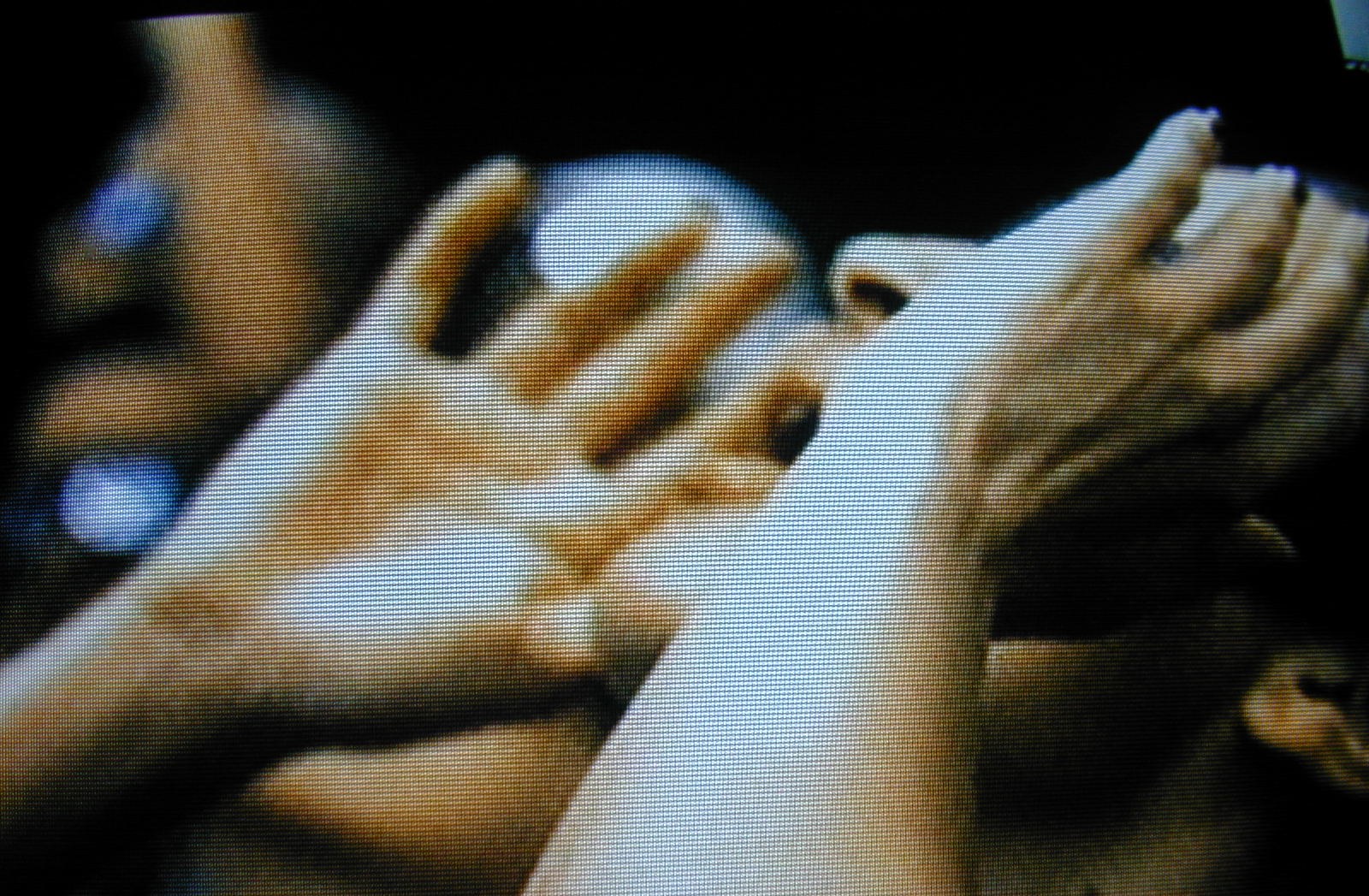 hand hands scream man television tv light_fx person human