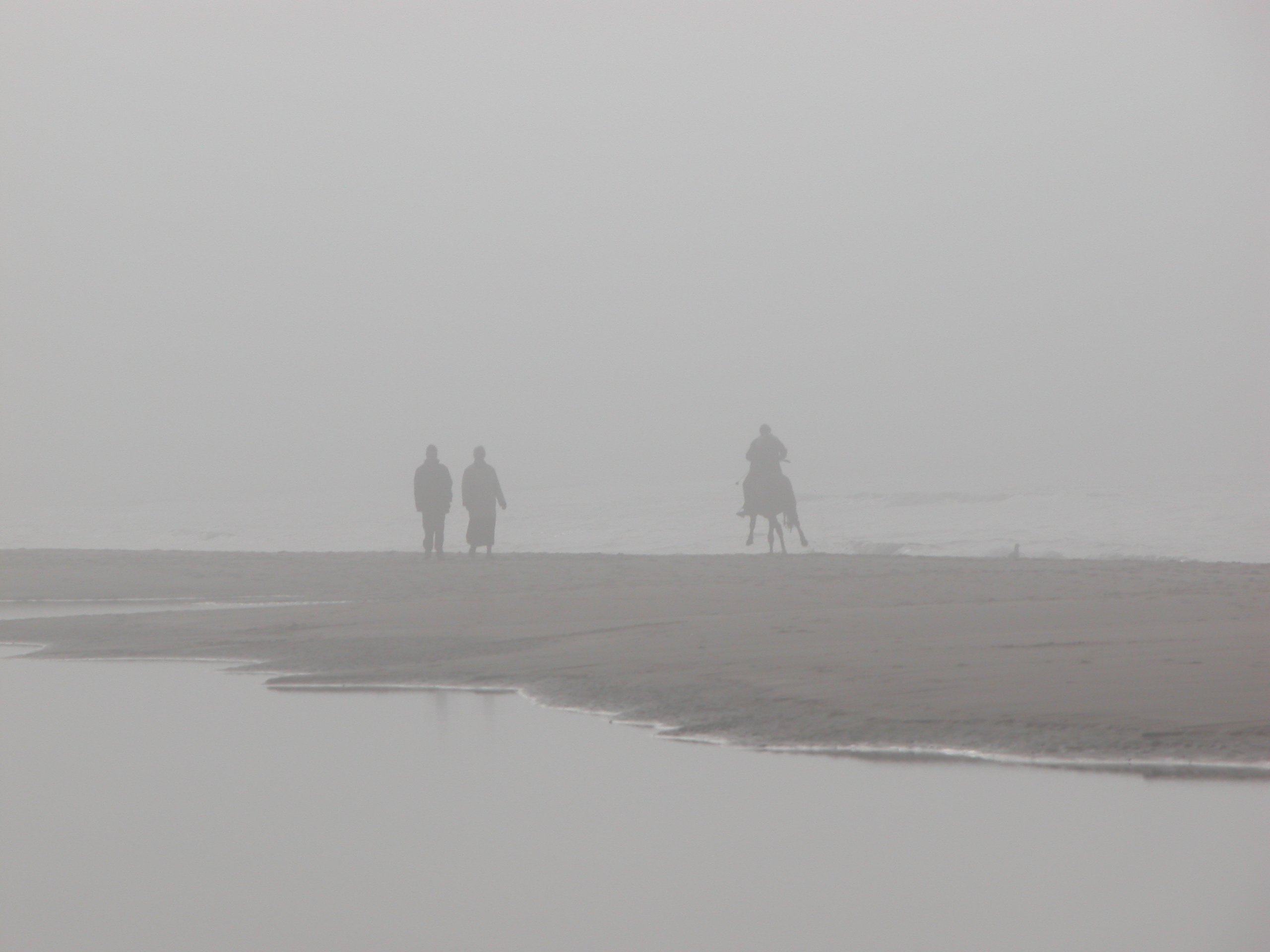 nature humanoids fog foggy beachscape horse galop galopping beach