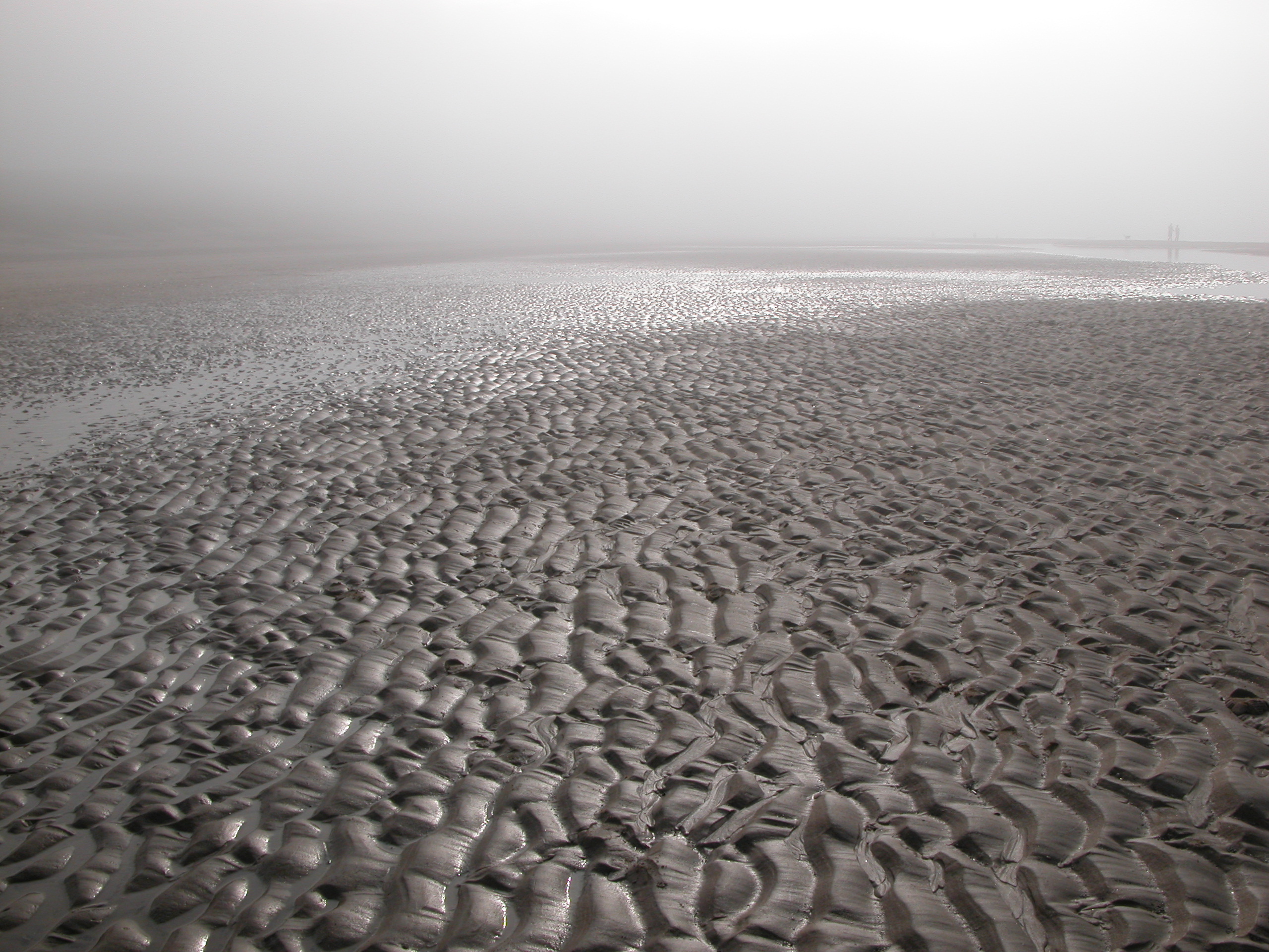 beach in the mist wet sand coast sea shore