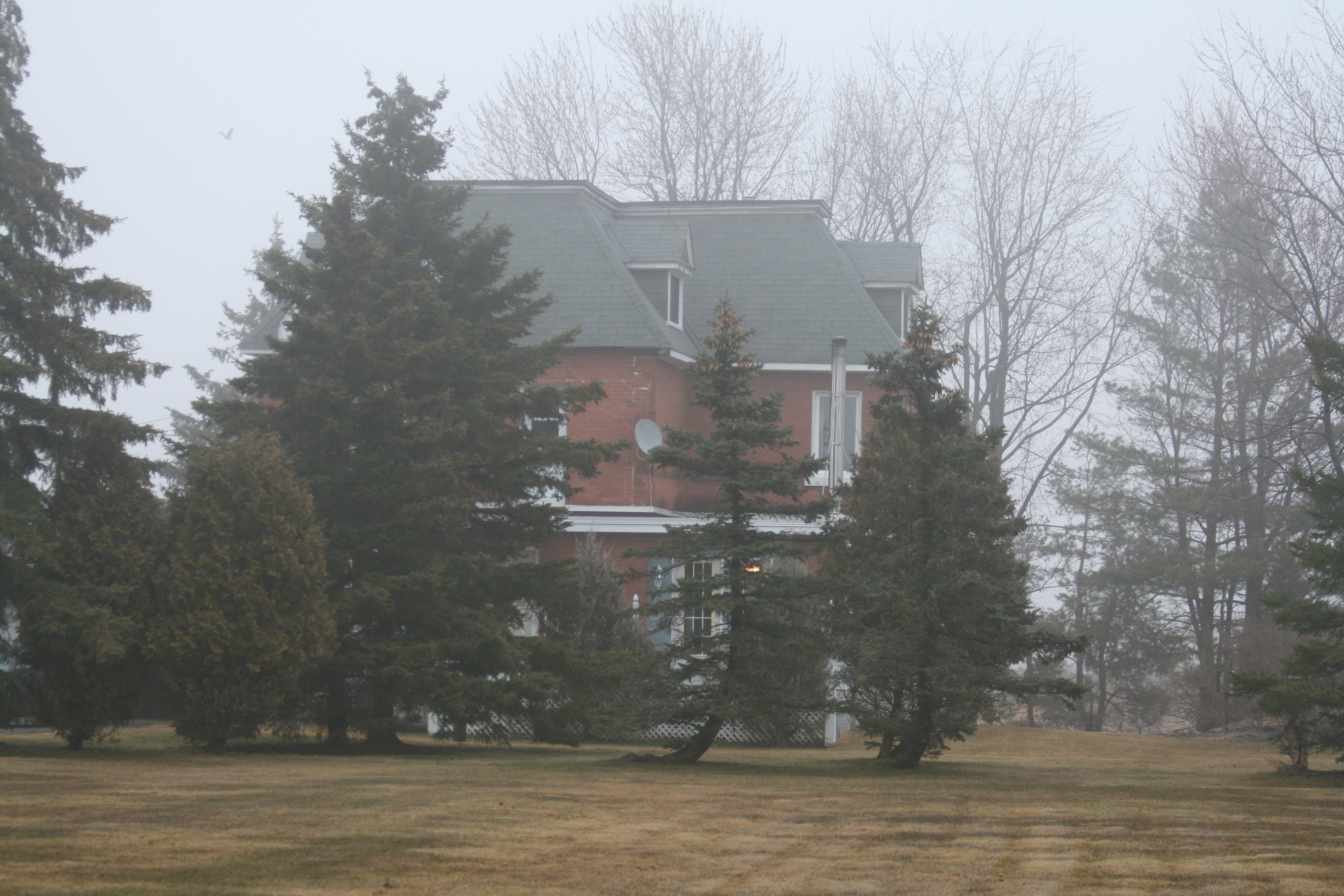 bozzit house in the fog field trees