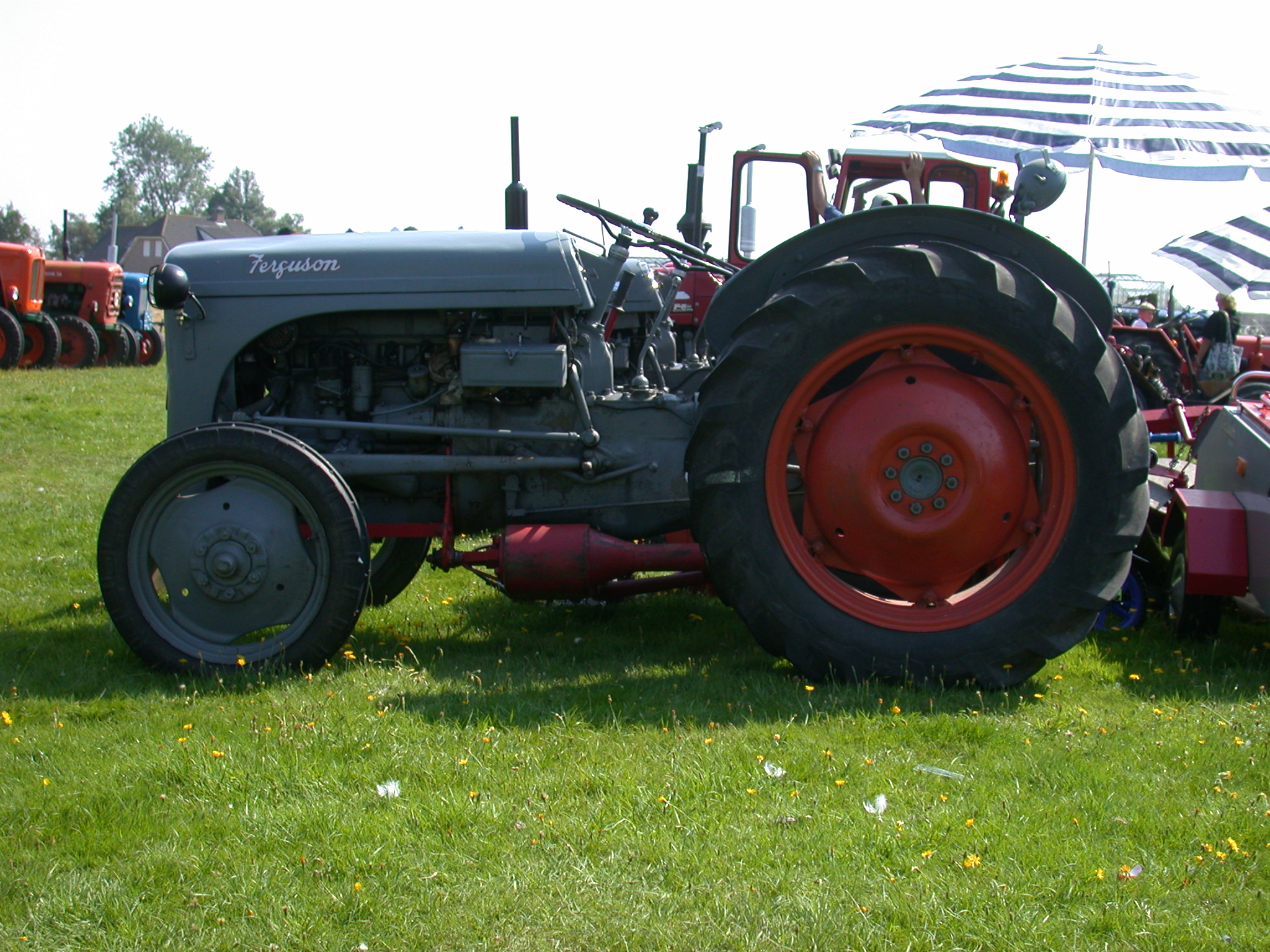 vehicles land tractor side ferguson show oldtimer