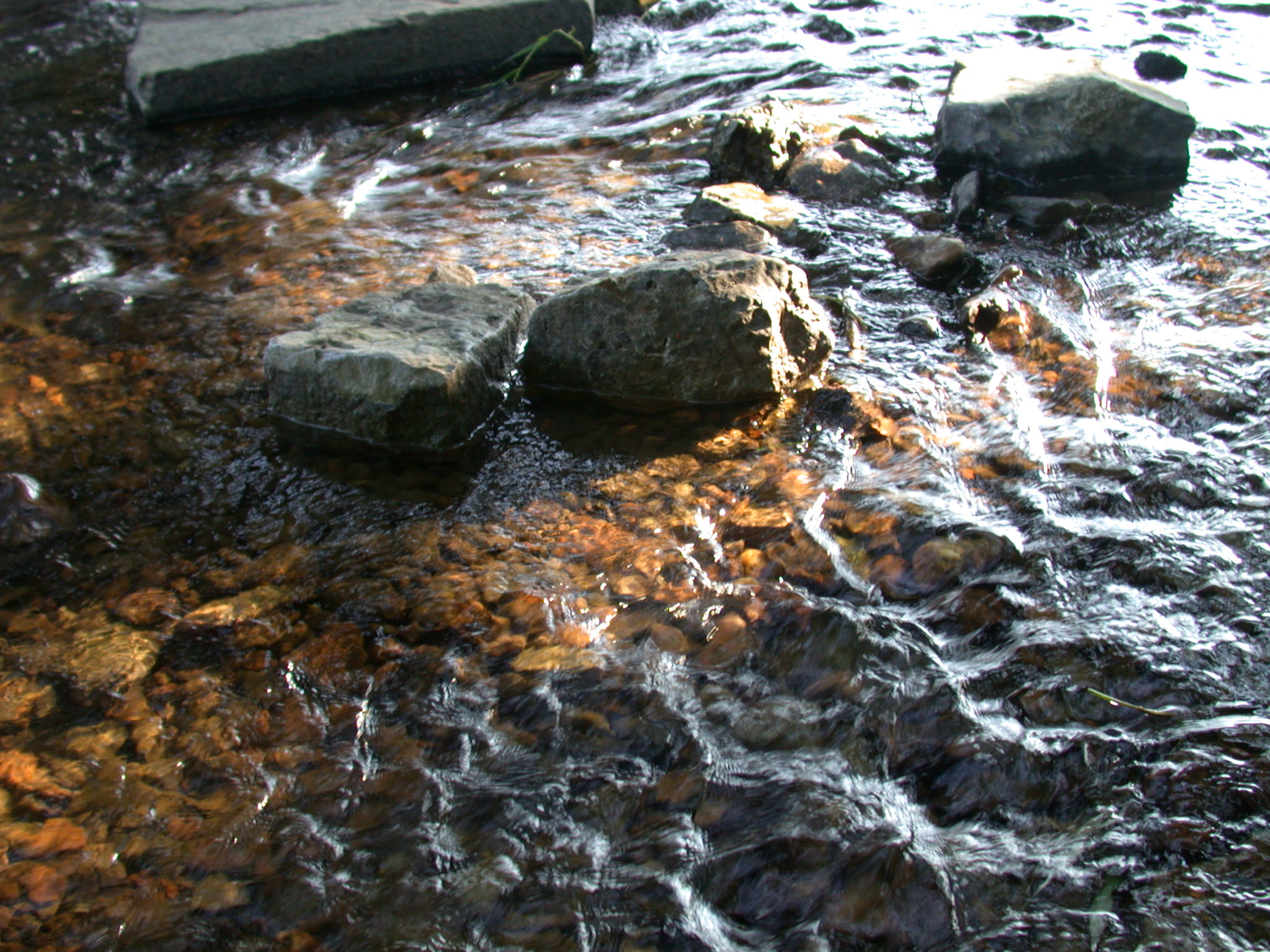 water stream stones