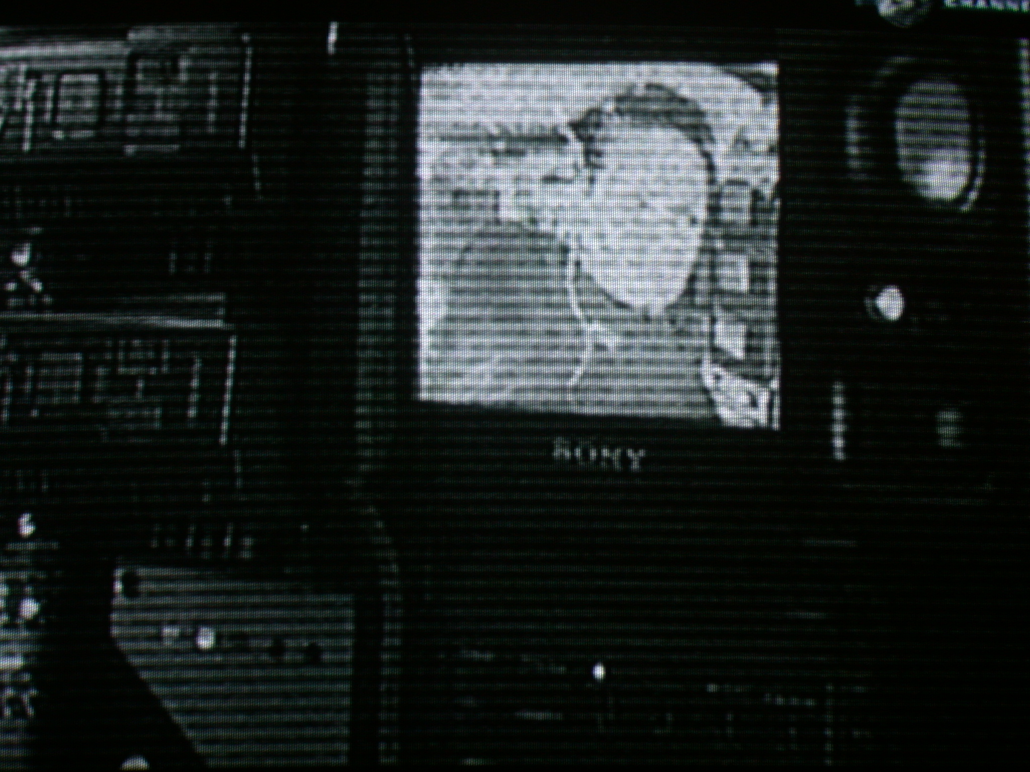 lightfx lighteffects b&w black white television tv tellie man human screen pixel pixels screengrab