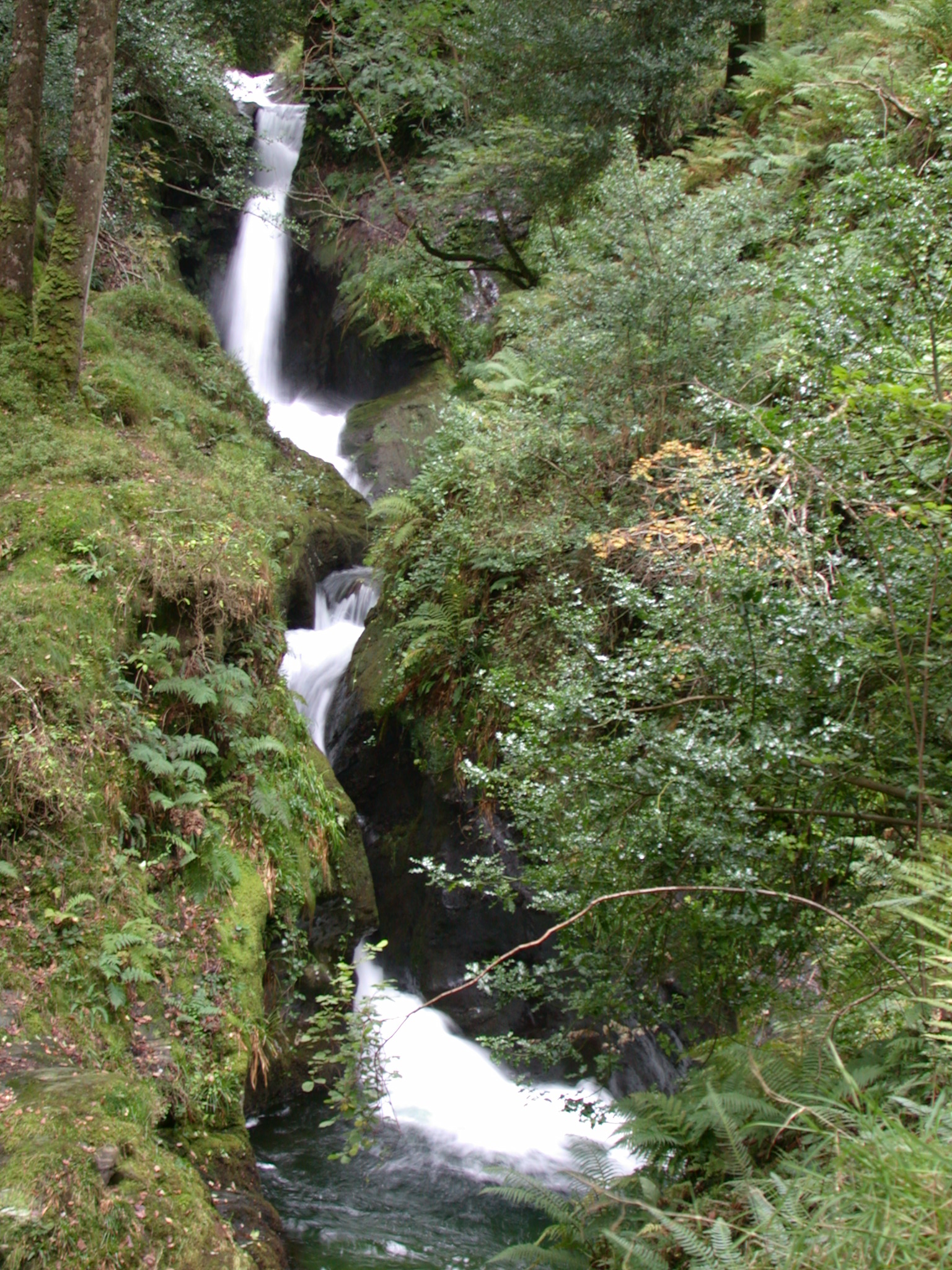 small little waterfall flowing green flow falling water brook stream water greenery splash