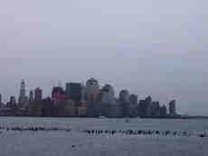 joelhacker big city metropolis high rises skyscrapers shore  