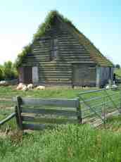 maartent sheep cottage house fence meadow