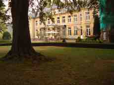 maartent villa garden mansion tree