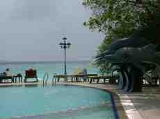 melvin tropical sea ocean swimming pool tropics relaxing dolphins blue green turquoise water 