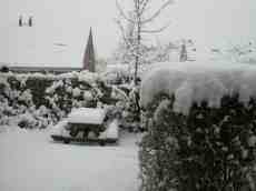 paul snow garden winter cold white blanket snowing snowy