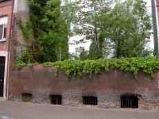 paul old wall brick bricks poison ivy 
