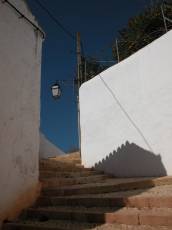 stairs steps 