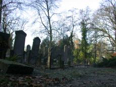 graveyard grave graves tomb tombstone tombstones trees haarlem architecture exteriors