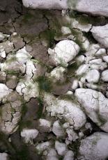 goo cracked earth dirt grounds rock pebbles mud cracks crack dried