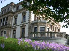 architecture exteriors elstwoud villa flowers crocus crocussus