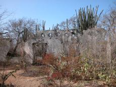 jacco curacao architecture exteriors abandoned ruin ruins shrubs