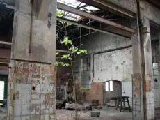 architecture interiors abandoned factory tree hall industry rubble