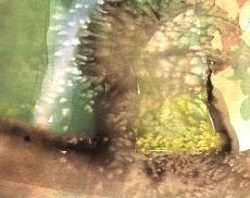 shanescanlan painting waterpaint paint detail texture ink