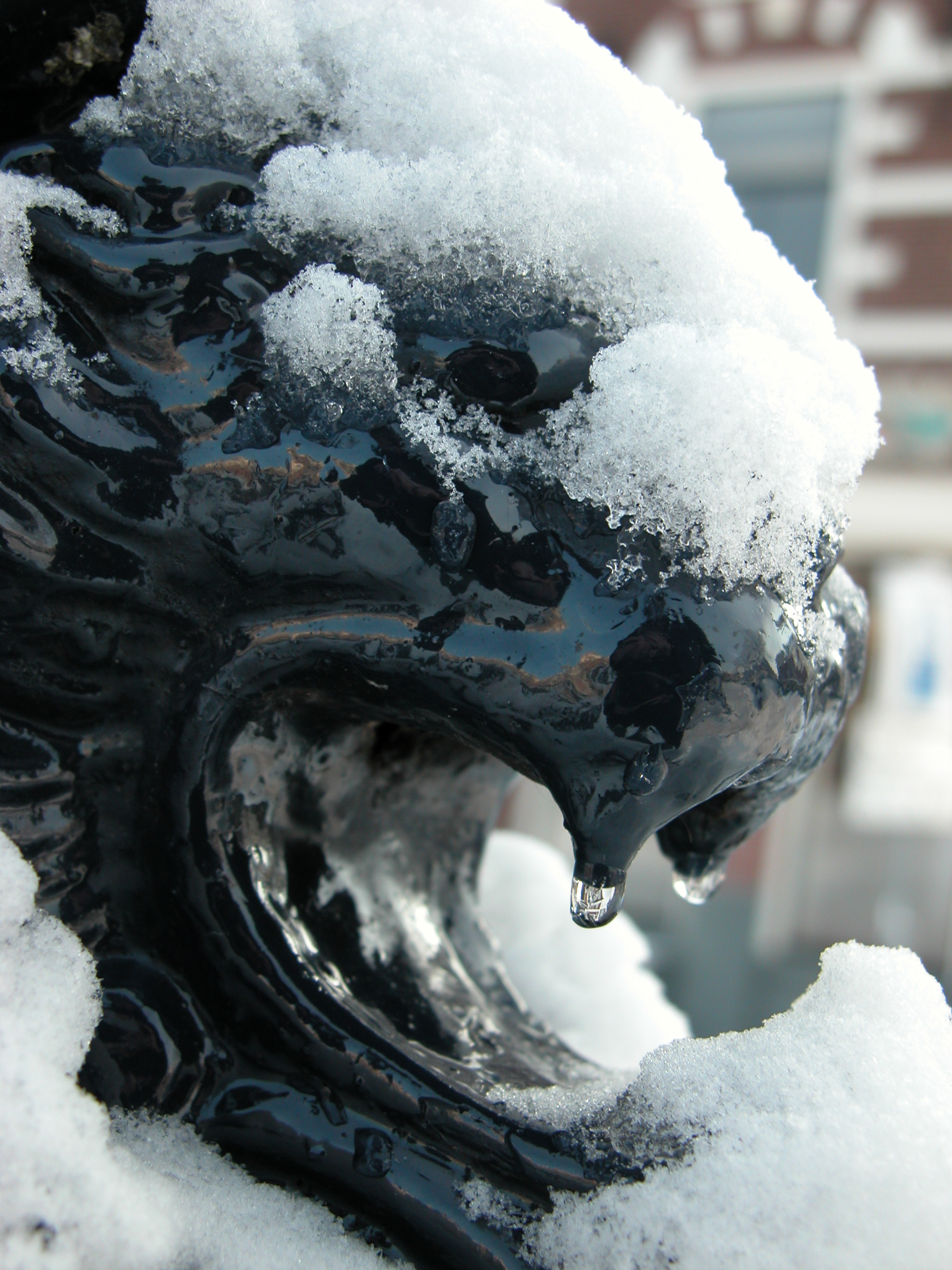 art sculptures lion metal snow winter