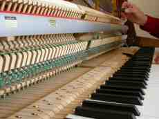 paul industry humanparts profession piano wires tuning pianotuning pianotuner key keys hammer hammers snares