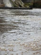 industry water fluid dirty sewer