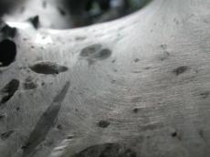 caterpillars silk white soft nest